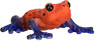 Preview: Poison Dart Tree Frog