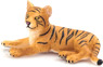 Tiger Cub lying Down