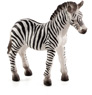 Vorschau: Animal Planet Zebra Fohlen