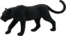 Vorschau: Animal Planet Schwarzer Panther