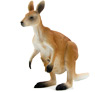 Vorschau: Animal Planet Kangaroo
