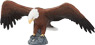 Preview: American Bald Eagle