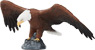 Preview: American Bald Eagle