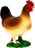 Vorschau: Animal Planet Henne stehend
