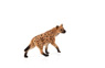 Vorschau: Animal Planet Hyäne