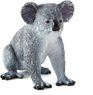 Vorschau: Animal Planet Koala