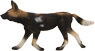 Animal Planet Afrikanischer Windhund