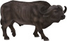 Vorschau: Animal Planet Schwarzbüffel
