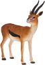 Vorschau: Animal Planet Thomson Gazelle