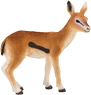 Vorschau: Animal Planet Thomson Gazelle Kitz