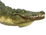 Vorschau: Animal Planet Krokodil mit beweglichem Kiefer