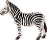 Vorschau: Animal Planet Zebra
