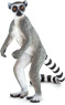 Vorschau: Animal Planet Katta Lemure