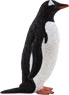Preview: Gentoo Penguin