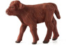 Prévisualisation: Animal Planet Veau Highland d&#039;Écosse