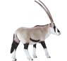 Vorschau: Animal Planet Oryx-Antilope