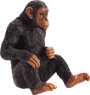 Vorschau: Animal Planet Schimpanse