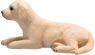Vorschau: Animal Planet Labrador Welpe