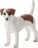 Vorschau: Animal Planet Jack Russel Terrier