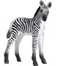 Vorschau: Animal Planet Zebrafohlen
