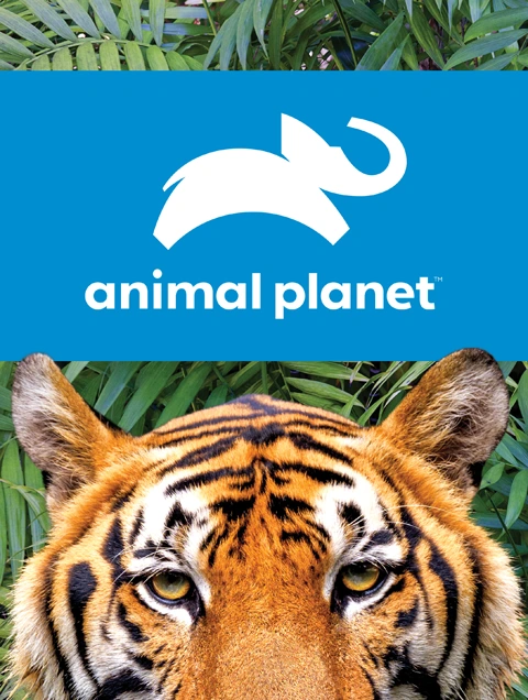 Animal Planet | Legler toys