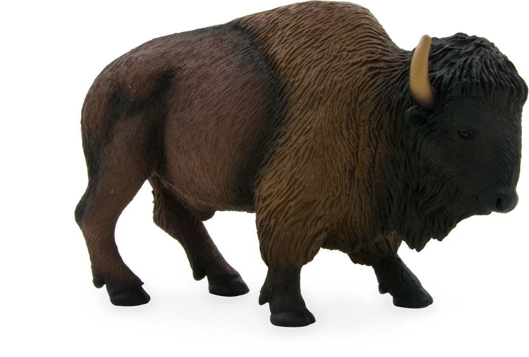 Buffalo american african bison vs Are Buffalo