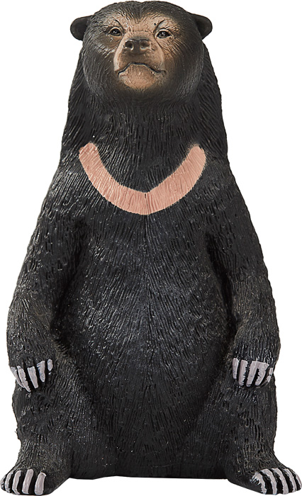 Sun Bear | Legler toys GBP
